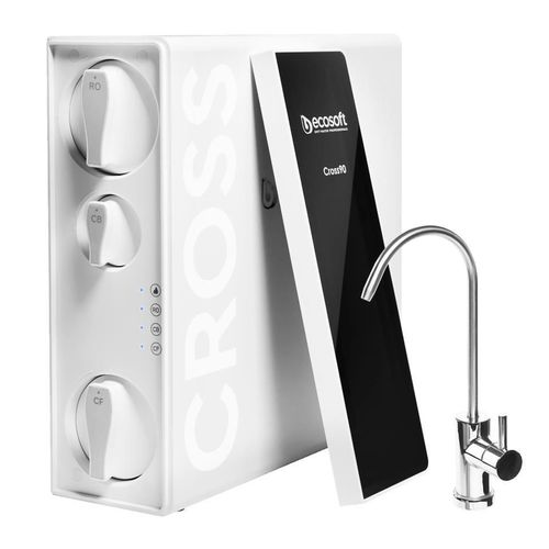 купить Фильтр проточный для воды Ecosoft 47EK0600 Sistem cu osmoza inversa Ecosoft Cross90 в Кишинёве 