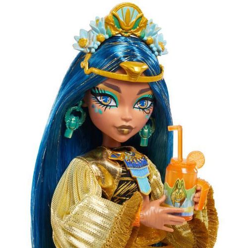 купить Кукла Mattel HXH81 Cleo De Nile și Monster Fest в Кишинёве 