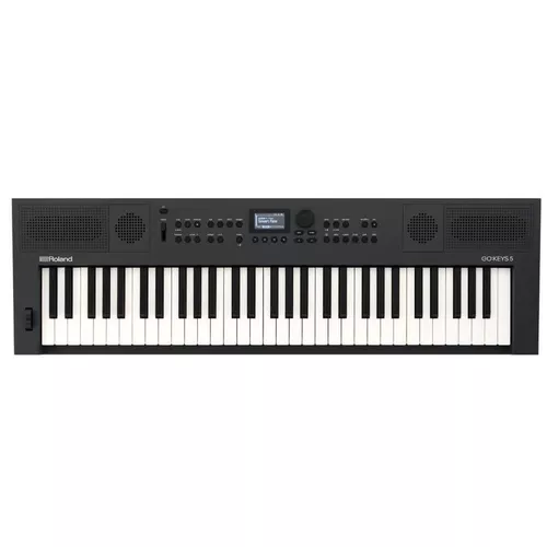 купить Цифровое пианино Roland GOKEYS5-GT в Кишинёве 