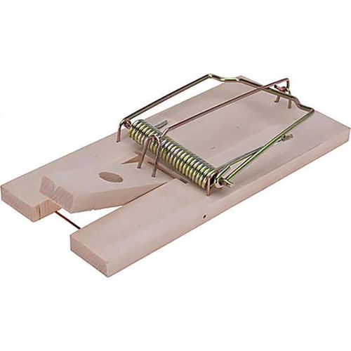 купить Аксессуар для дома ProGarden 50566 Capcana pentru soareci din lemn 17X8.5cm в Кишинёве 
