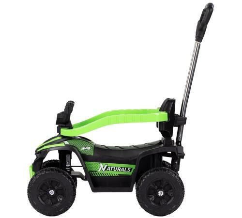 купить Толокар Chipolino ROCATVH02503GR ATV с ручкой green в Кишинёве 