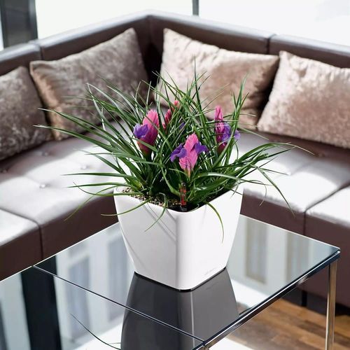 cumpără Ghiveci pentru flori Lechuza Quadro Premium 21 LS, White în Chișinău 