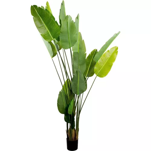 купить Декор Deco Arborele Strelitzia 250 в Кишинёве 