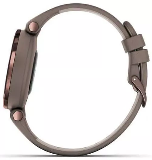 купить Смарт часы Garmin Lily™ Dark Bronze Bezel Paloma Case Italian Leather в Кишинёве 