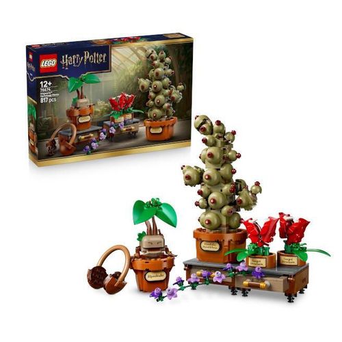 купить Конструктор Lego 76474 Harry Potter. Plante de herbologie de la Hogwarts в Кишинёве 