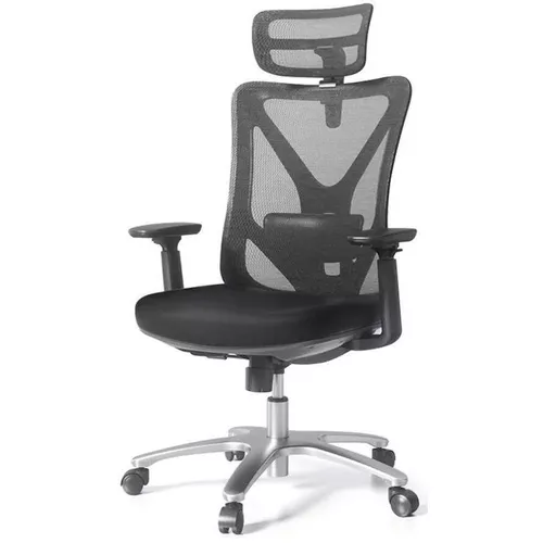 купить Офисное кресло Deli KF230, сетка и обивка, черное в Кишинёве 