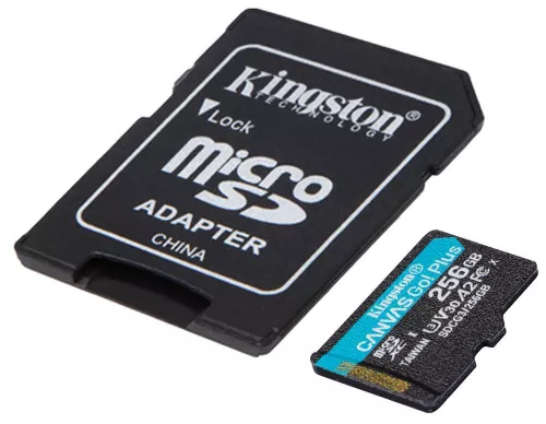 купить Флеш карта памяти SD Kingston SDCG3/256GB, microSD Class10 A2 UHS-I U3 (V30) в Кишинёве 