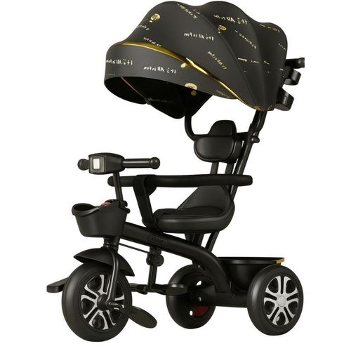 cumpără Bicicletă-cărucior 4Play Twist Black în Chișinău 