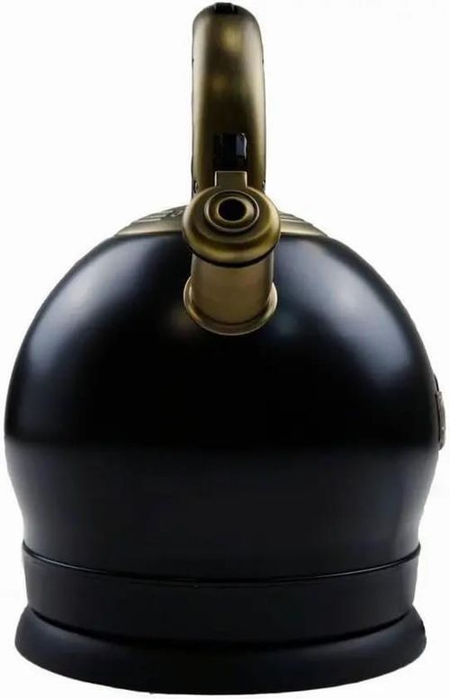 купить Чайник электрический Kaiser WK 2000 R в Кишинёве 