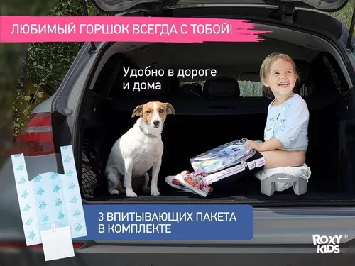 купить Детский горшок Roxy Kids HP-255GG HandyPotty 3в1 серый и вкладка серая в Кишинёве 