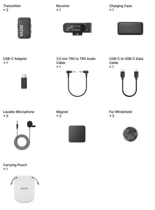 купить Микрофон Boya BOYAMIC 2-01 в Кишинёве 