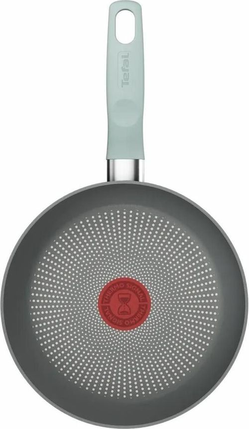 купить Сковорода Tefal G0160202 Halo Eucalyptus 20cm в Кишинёве 