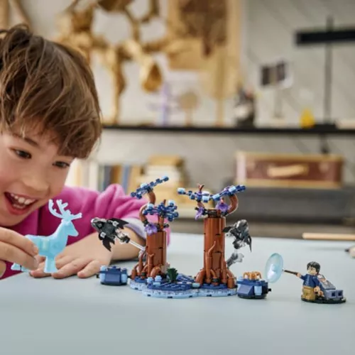 cumpără Set de construcție Lego 76475 Forbidden Forest Expecto Patronum în Chișinău 