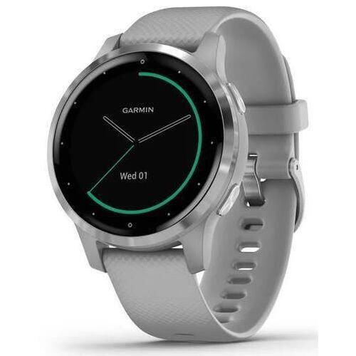 купить Фитнес-трекер Garmin vivoactive 4S Powder Gray/Silver, S.EU в Кишинёве 