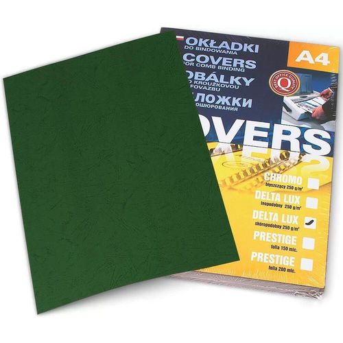 купить Бумага офисная Argo AR407051 Coperta carton Delta A4, 250g/m2, 100 foi, verde в Кишинёве 