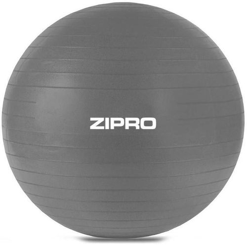 купить Мяч Zipro Gym ball Anti-Burst 65cm Gray в Кишинёве 