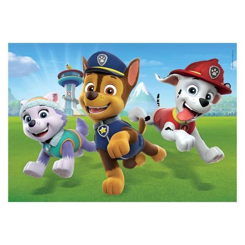 купить Пазл Clementoni Puzzle 2x20 Paw Patrol (24800) в Кишинёве 