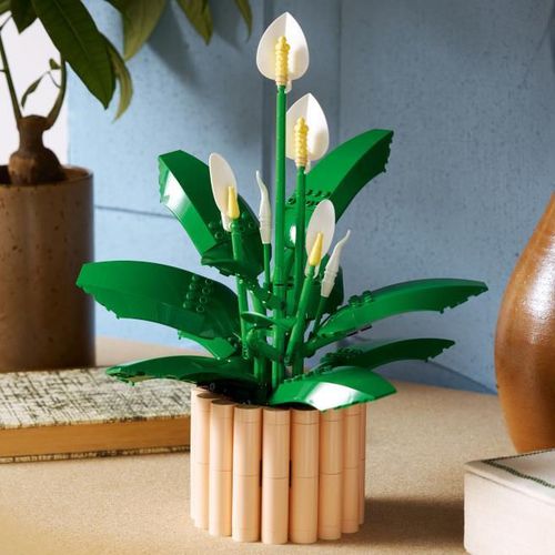 купить Конструктор Lego 11504 Peace Lily в Кишинёве 