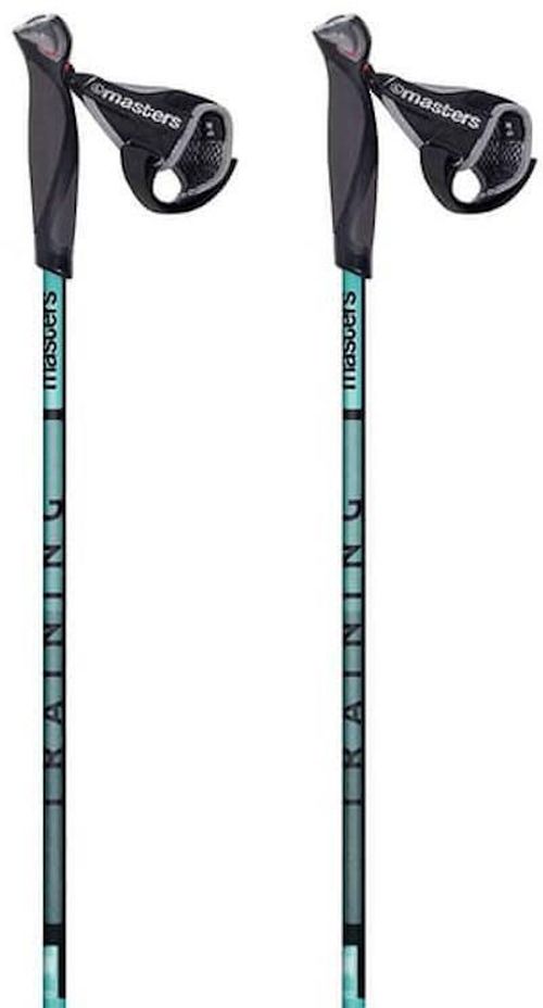 купить Треккинговые палки Masters NW TRAINING (01N0619/01N0620) в Кишинёве 