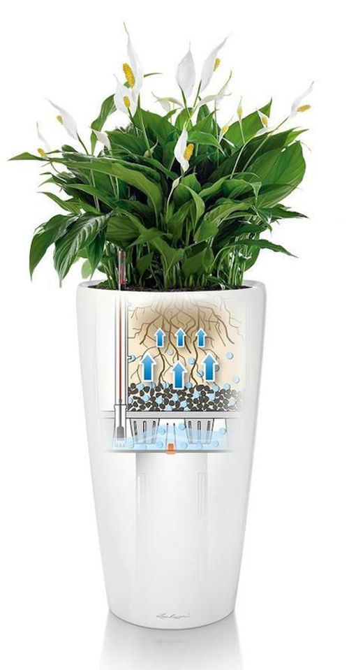 купить Цветочный горшок Lechuza Rondo Premium 40 All In One Silver в Кишинёве 