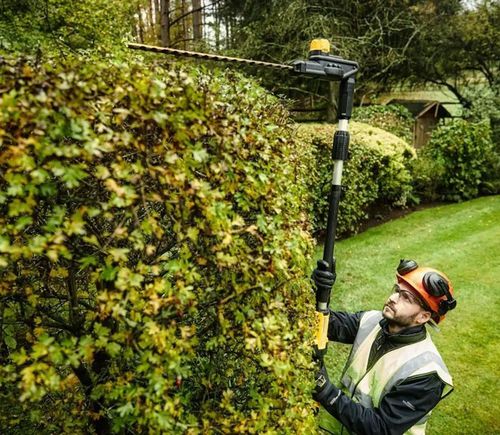 cumpără Foarfece pentru arbuști DeWalt DCMPH566N-XJ de tuns gard viu telescopica, 18V, fara ac-tor în Chișinău 