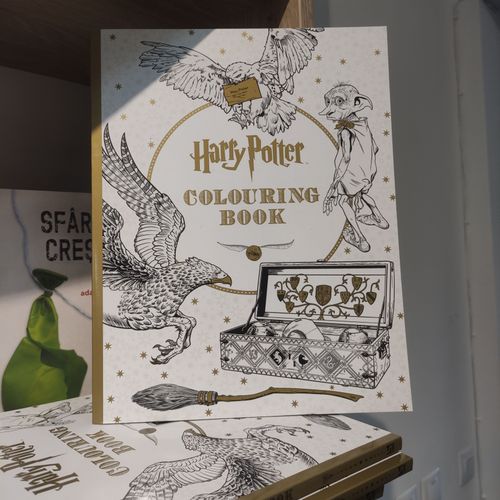 cumpără Harry Potter - Colouring Book în Chișinău 
