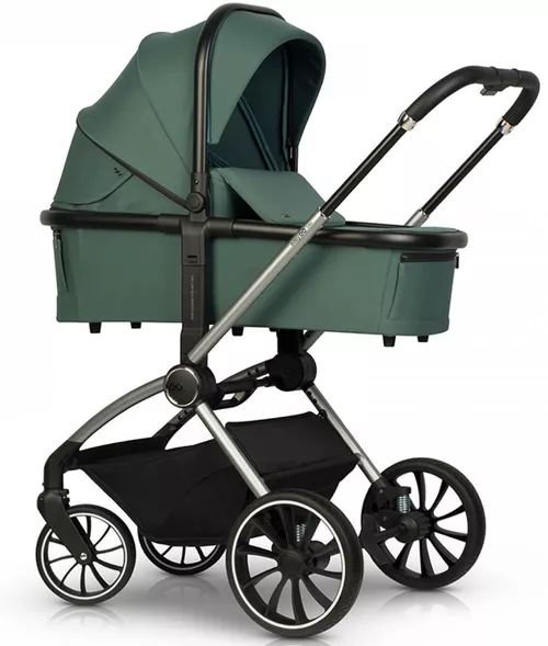 cumpără Сărucior pentru copii Easy Go Giro 2in1 Sage Green în Chișinău 