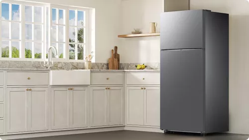 купить Холодильник с верхней морозильной камерой Samsung RT53DG7A14S9EO в Кишинёве 