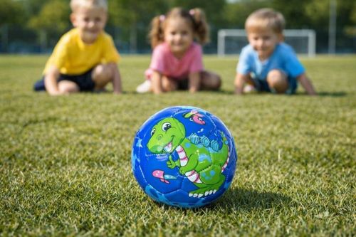 cumpără Minge New World 1338 Minge fotbal MINI 2 d-15cm 10087b în Chișinău 