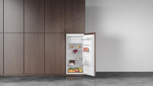 купить Встраиваемый холодильник Teka RSR 42265 FI в Кишинёве 