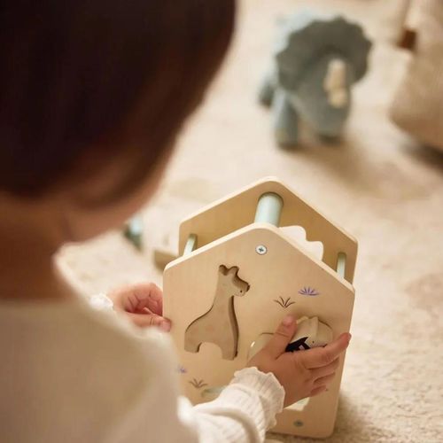 cumpără Sortator Jollein 104-001-67090 Shape Sorter Jungle Jambo (din lemn) în Chișinău 
