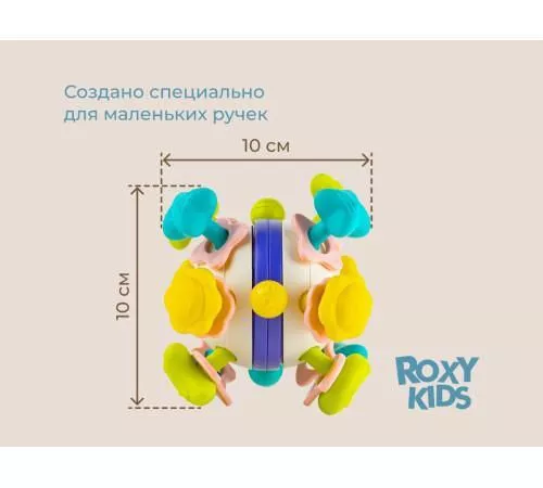 купить Игрушка Roxy Kids RMON-002 Busy Ball в Кишинёве 