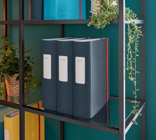 купить Папка для документов Leitz 10380089 Biblioraft Active Cosy А4, 82mm, gri в Кишинёве 