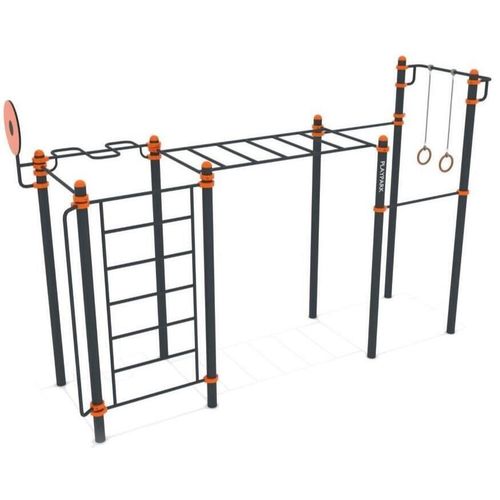 купить Уличный тренажер PlayPark 2240 WORKOUT C-040 в Кишинёве 
