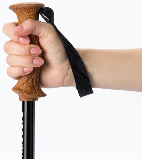 купить Треккинговые палки Masters SCOUT ANTISHOCK CSS Sunset Orange/Brick Red (01S4919/01S1725) в Кишинёве 