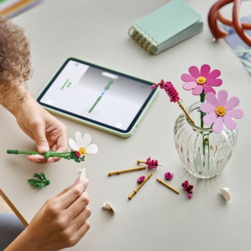 купить Конструктор Lego 11514 Botanicals. Flori Cosmos в Кишинёве 