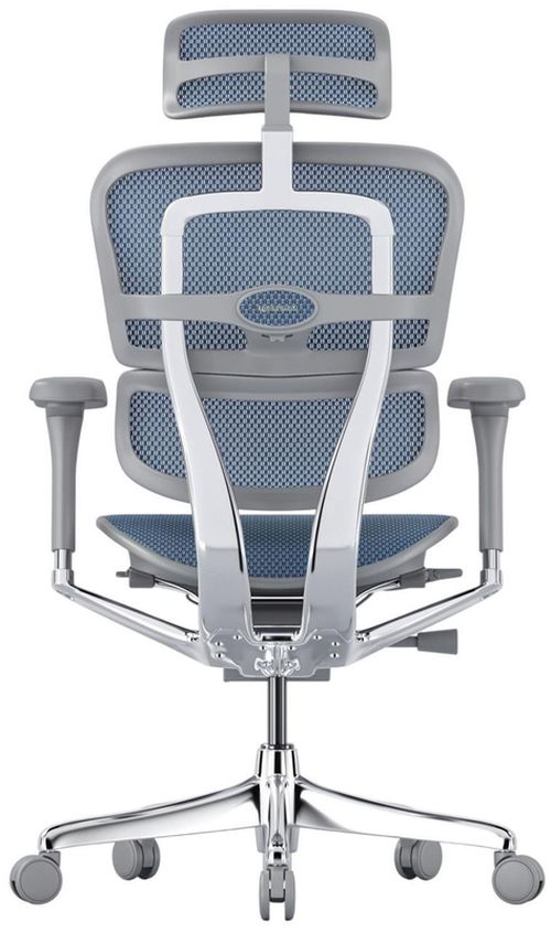 купить Офисное кресло ART Ergohuman Elite 2 Cobalt T-168-B4 EHE2-AG-HAM-5D-L в Кишинёве 