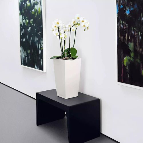 cumpără Ghiveci pentru flori Lechuza Cubico Color 30, White în Chișinău 