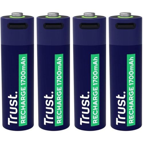 купить Аккумулятор Trust TR25631 USB-C Rechargeable Battery AA 1700 mAh, 4 Pack в Кишинёве 