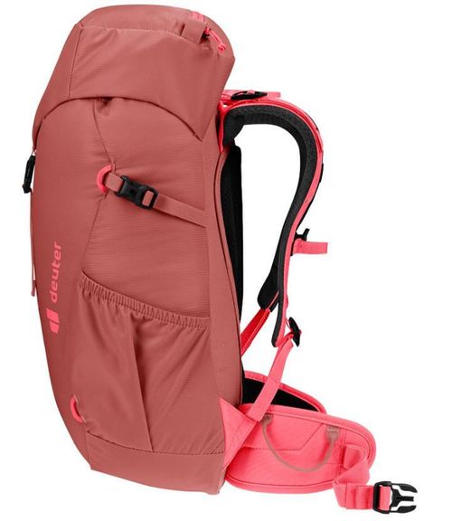 cumpără Rucsac turistic Deuter Climber 22 redwood-hibiscus în Chișinău 