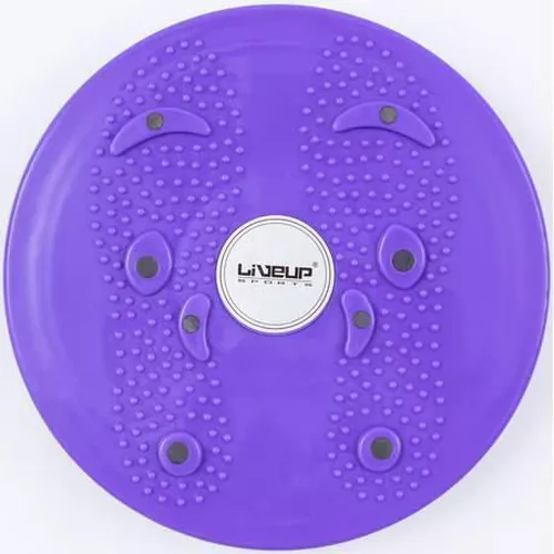 купить Гантель LiveUp 41444 Magnetic Disc LS3165B/VT в Кишинёве 