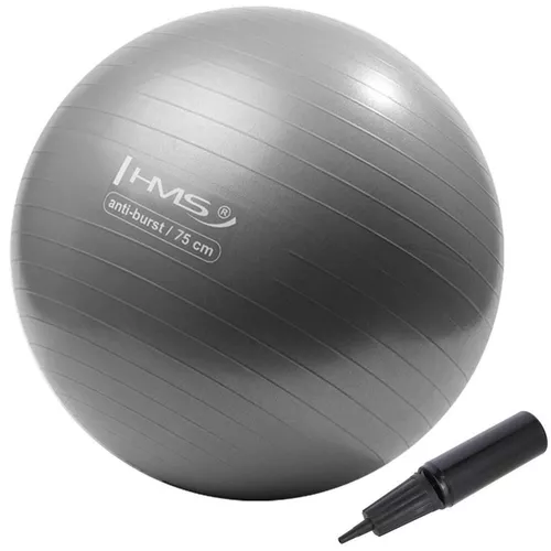купить Мяч HMS 9477 Minge gimnastica d=75cm cu pompa Gray YB02 (17-42-179) в Кишинёве 