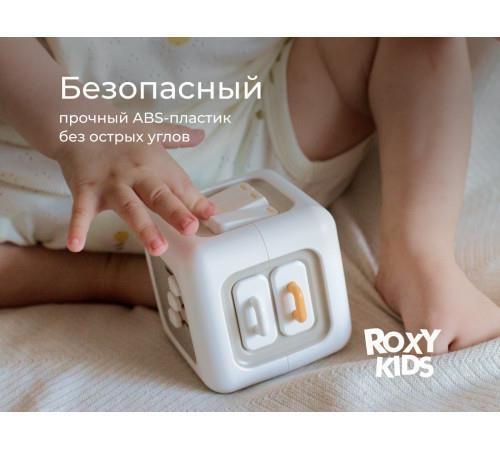 cumpără Jucărie Roxy Kids RMON-001 Busy Cube în Chișinău 