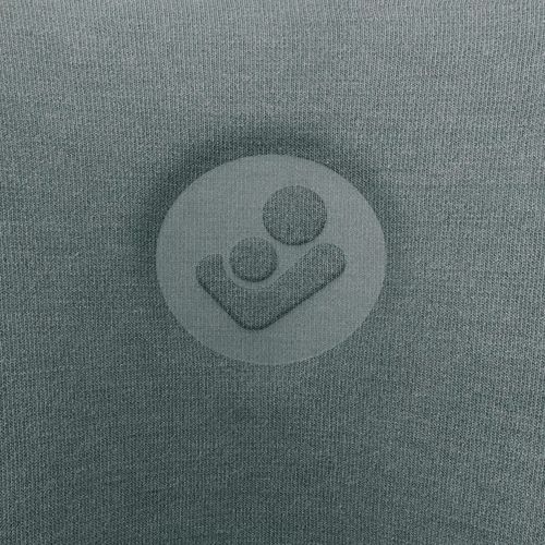 купить Автокресло Maxi Cosi 8800510113 RodiFix Pro2 I-Size Autentic Grey 100-150cm в Кишинёве 