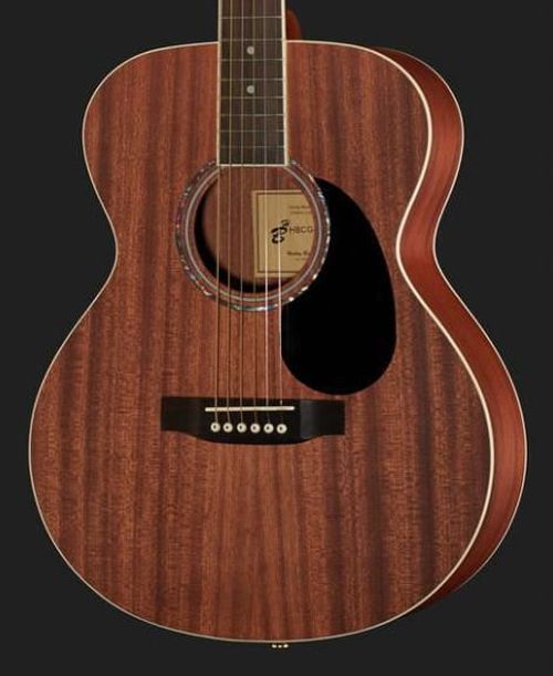 купить Гитара Harley Benton CG-45 NS Blues Guitar Set в Кишинёве 