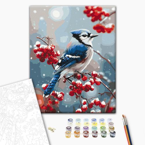 купить Картина по номерам BrushMe BS54498 40x50cm (în cutie) Pasăre pe ramura înghețată в Кишинёве 