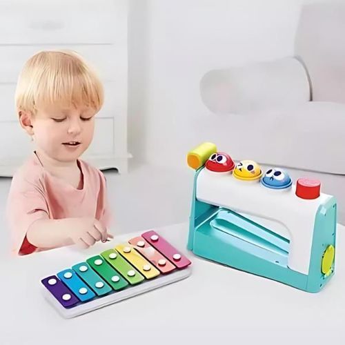 купить Музыкальная игрушка Hola Toys HA792700 Jucarie muzicala Xilofon cu bile в Кишинёве 