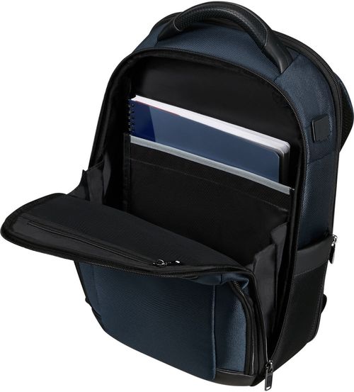 купить Рюкзак для ноутбука Samsonite PRO-DLX 6 (147139/1090) в Кишинёве 