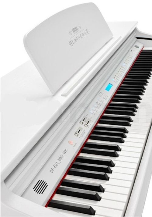 купить Цифровое пианино Hemingway DP-501 MKII WH Alb в Кишинёве 
