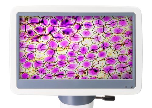 купить Микроскоп Levenhuk D85L LCD Digital в Кишинёве 